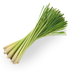 Lemongrass, essential oil