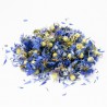 Cornflower flowers