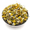 Chamomile flowers