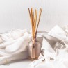 Ruumilõhnastaja baasõli, Augeo Clean Multi
