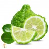 Bergamot, aroomiõli