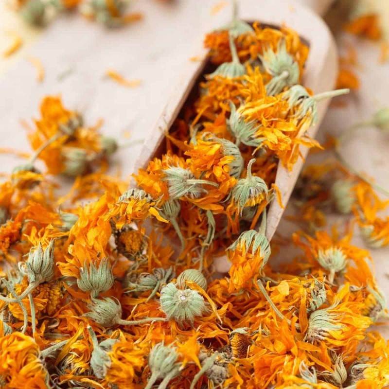 Calendula flowers