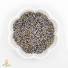 Laventelin kukat