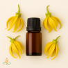Ylang Ylang, eteerinen öljy