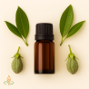 Frankincense, eeterlik õli