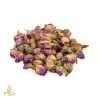 Ruusunnuppu, pieni, violetti