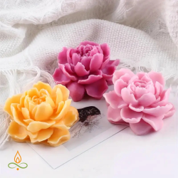Silicone mould Decorative...