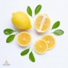 Lemon, fragrance oil