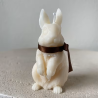 Silicone mold Rabbit, 53x91mm