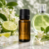 Brändikoopia, Chance Eau Fraiche, Chanel, aroomiõli