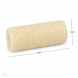 Sponge, loofah