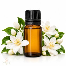 Jasmine, essential oil