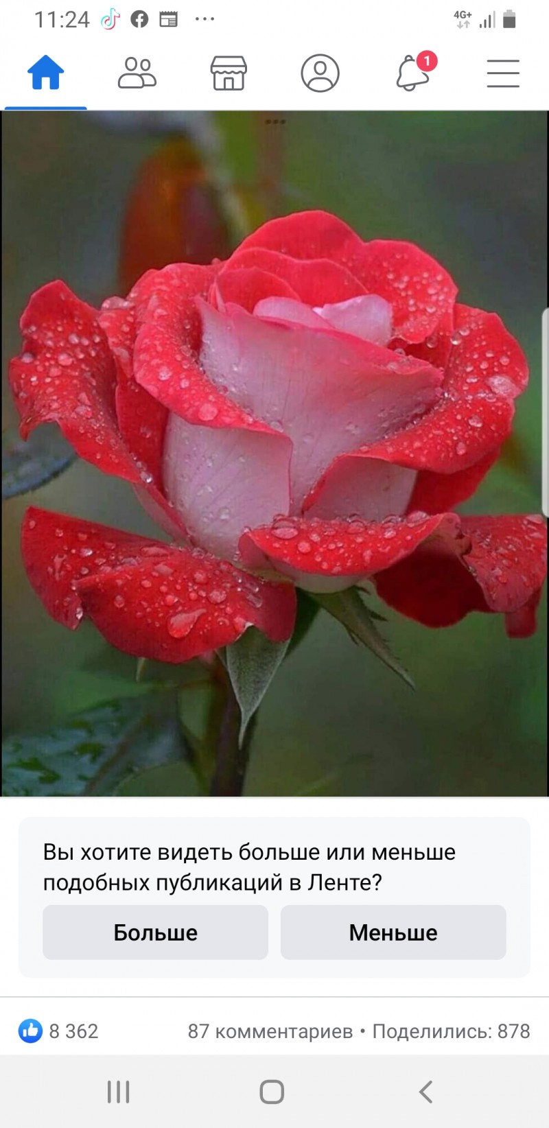 fclqdkv73yjz1rrtqylc-thumbnail.jpg