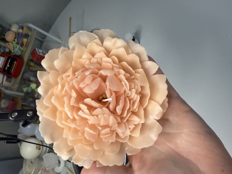 wbxvprdmzkafhkgk8sdt-thumbnail.jpg
